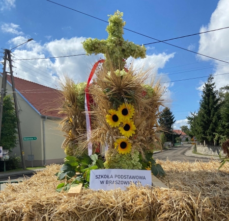Dożynki w Braszowicach 